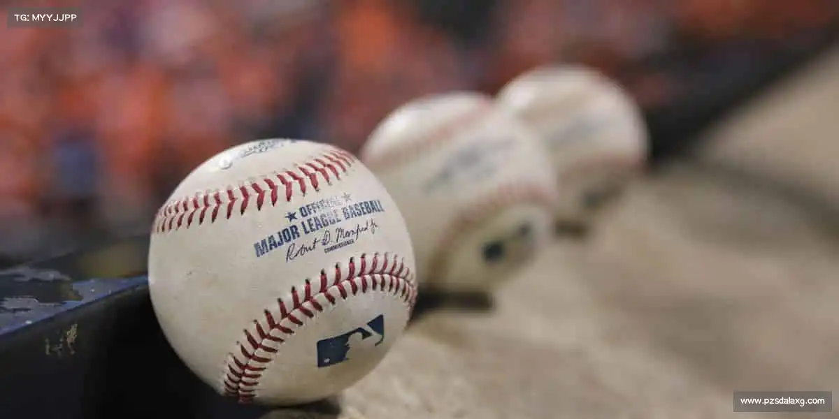 行业领先的理由